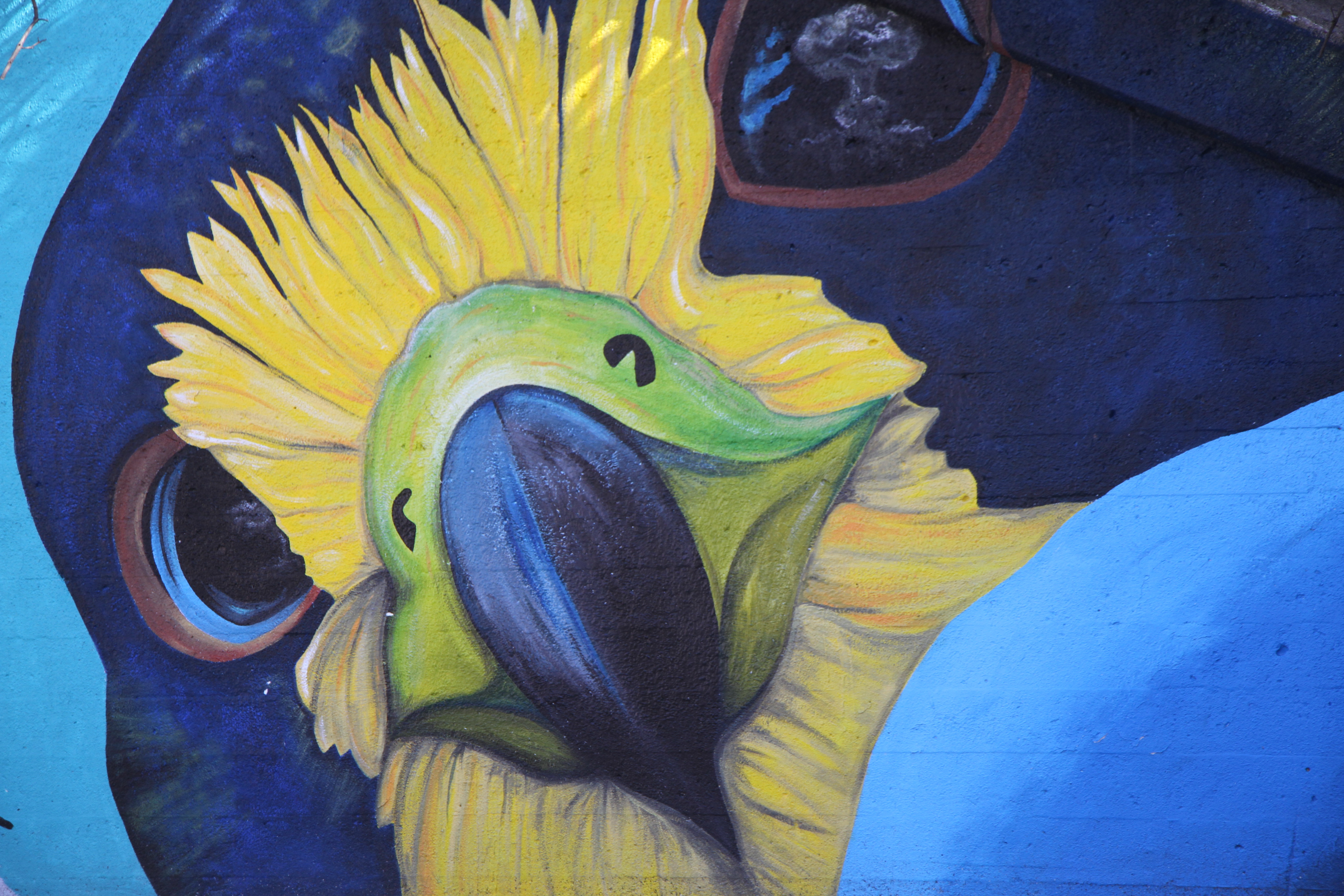 Audubon Mural Project, rogers-park-business-alliance