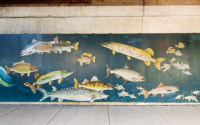 Tribute to the Fish of Lake Michigan